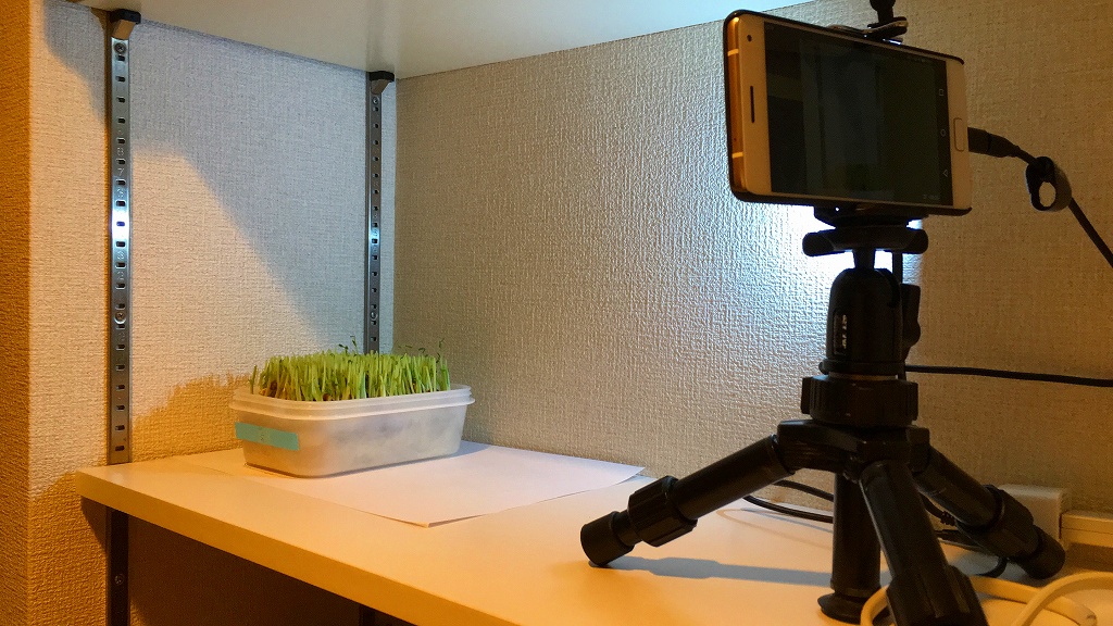 星屑 タイムラプスで変化を見よう あまったスマホを有効活用 見て楽しいタイムラプス動画の作り方 Stardust News Net